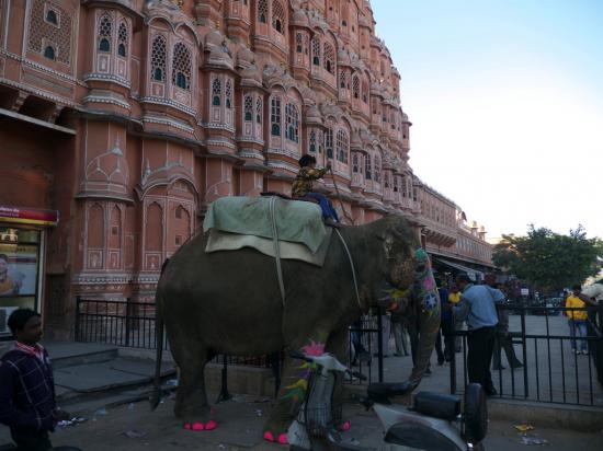 世界を旅行した時の写真を貼っていこうと思います_1.8971375900642E+81