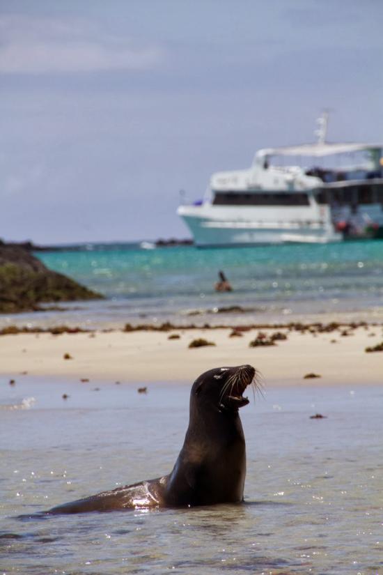 世界を旅行した時の写真を貼っていこうと思います_2.7340634059788E+98