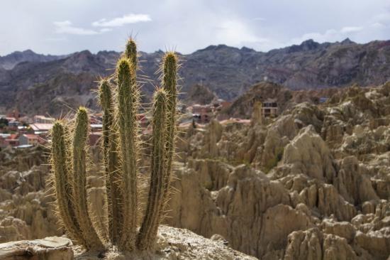 世界を旅行した時の写真を貼っていこうと思います_1.9239260838083E+112