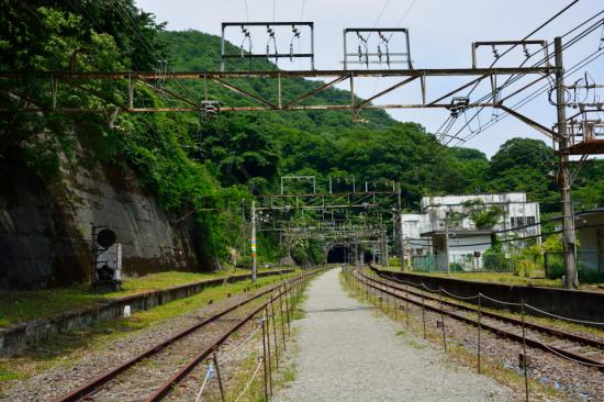 群れずに正々堂々と秘境駅に行ってきたから写真うｐする_3.0948500982135E+26