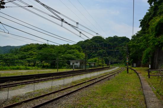 群れずに正々堂々と秘境駅に行ってきたから写真うｐする_6.1897001964269E+26