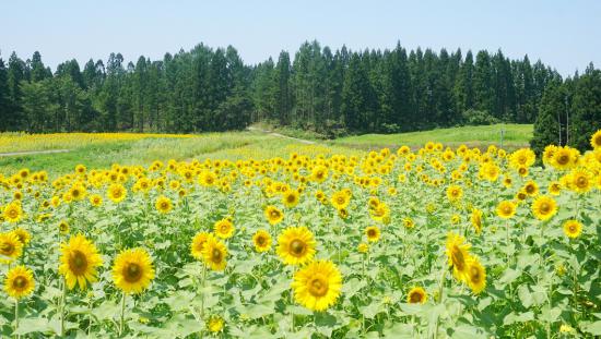 お盆に山形県に行ってきた_1.078397866686E+68