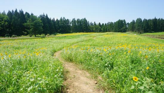 お盆に山形県に行ってきた_2.1567957333721E+68