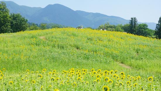 お盆に山形県に行ってきた_8.6271829334882E+68