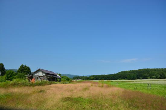 悔やまずに正々堂々と秘境駅に行ってきたから写真うｐする_3.8685626227668E+25