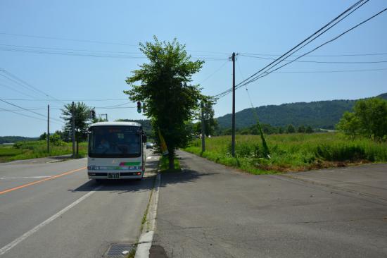 悔やまずに正々堂々と秘境駅に行ってきたから写真うｐする_5.0706024009129E+30