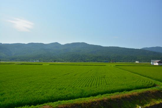 悔やまずに正々堂々と秘境駅に行ってきたから写真うｐする_1.7422457186352E+41