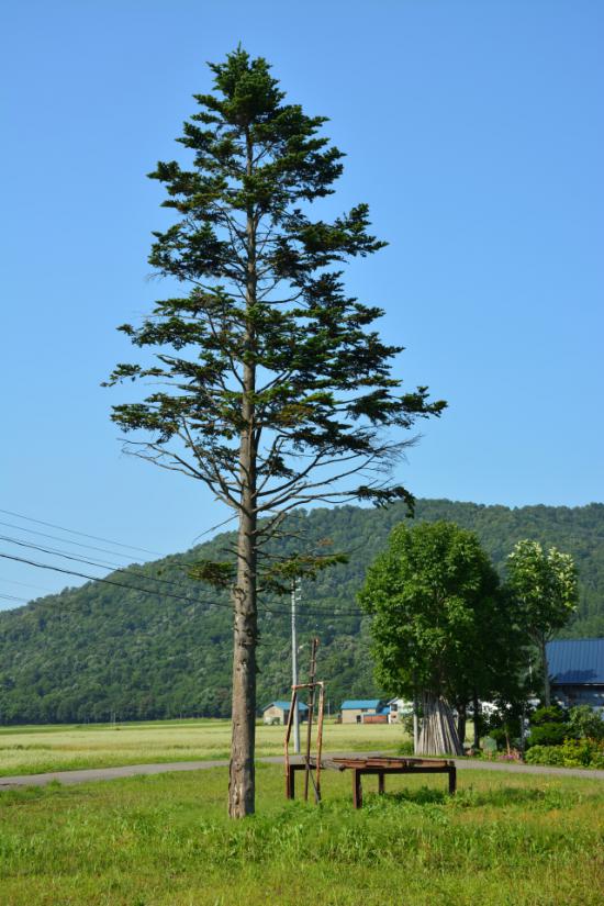 悔やまずに正々堂々と秘境駅に行ってきたから写真うｐする_6.9689828745408E+41