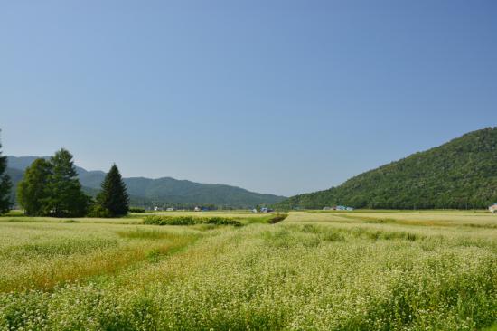 悔やまずに正々堂々と秘境駅に行ってきたから写真うｐする_2.7875931498163E+42