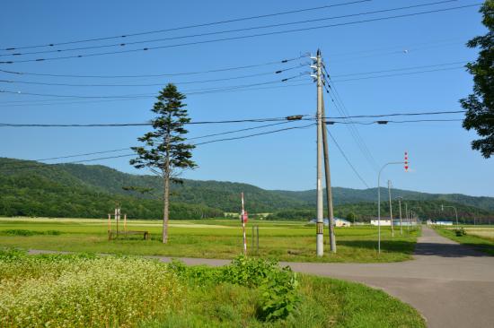 悔やまずに正々堂々と秘境駅に行ってきたから写真うｐする_4.4601490397061E+43