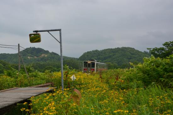 悔やまずに正々堂々と秘境駅に行ってきたから写真うｐする_1.7668470647784E+72