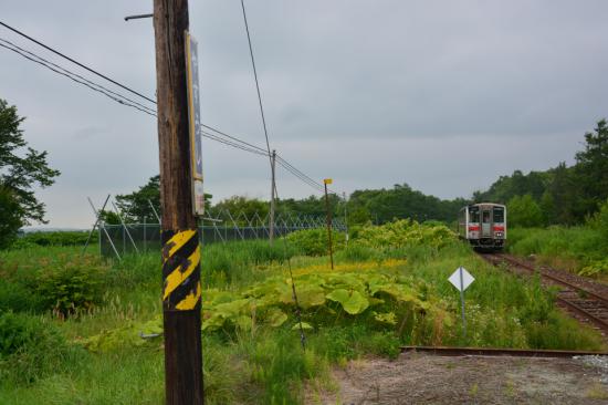 悔やまずに正々堂々と秘境駅に行ってきたから写真うｐする_2.8269553036454E+73