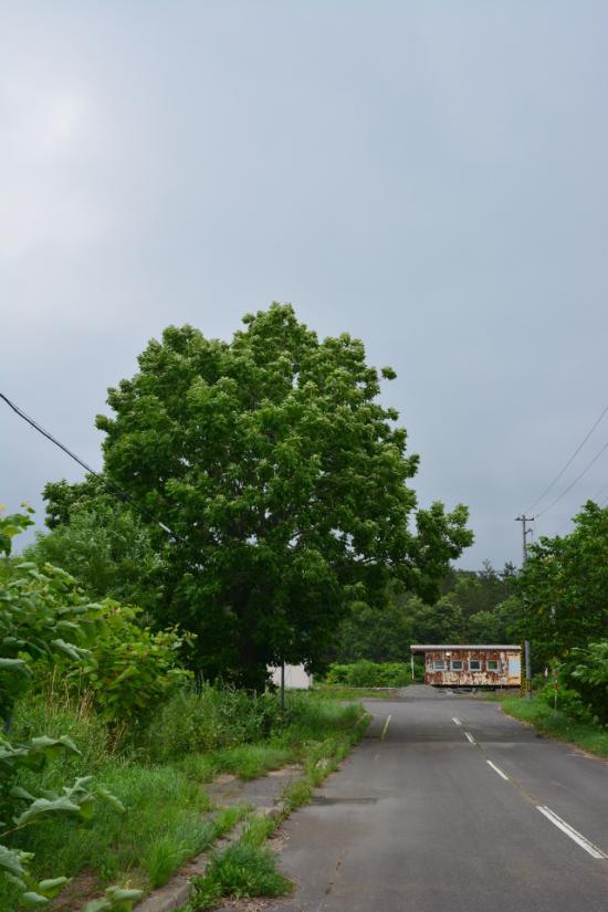 悔やまずに正々堂々と秘境駅に行ってきたから写真うｐする_3.6185027886661E+75