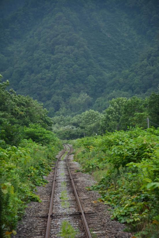 悔やまずに正々堂々と秘境駅に行ってきたから写真うｐする_4.7428439751605E+80