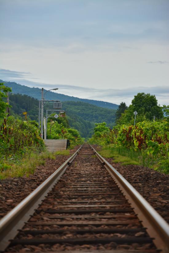 悔やまずに正々堂々と秘境駅に行ってきたから写真うｐする_1.8788340662191E+109