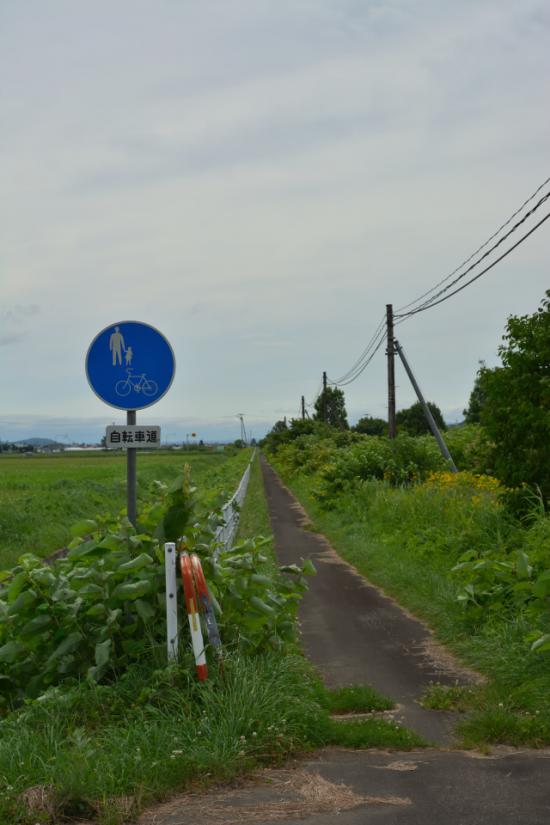 悔やまずに正々堂々と秘境駅に行ってきたから写真うｐする_2.5822498780869E+120