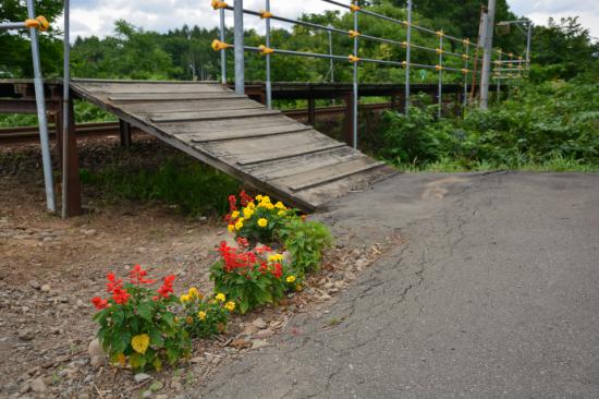 悔やまずに正々堂々と秘境駅に行ってきたから写真うｐする_3.3846065602061E+125