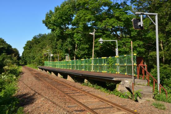 悔やまずに正々堂々と秘境駅に行ってきたから写真うｐする_7.80437137579E+143