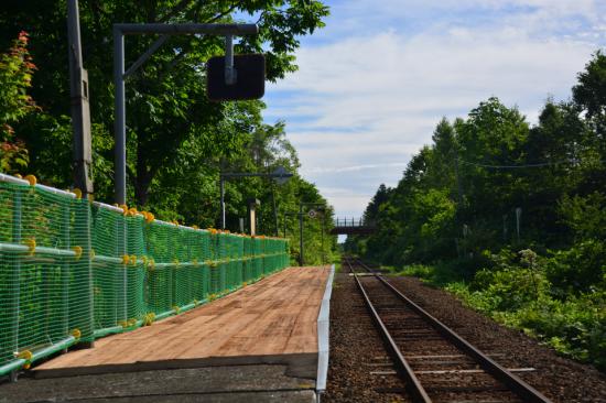 悔やまずに正々堂々と秘境駅に行ってきたから写真うｐする_1.560874275158E+144