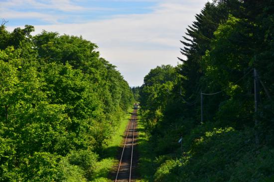 悔やまずに正々堂々と秘境駅に行ってきたから写真うｐする_9.9895953610112E+145