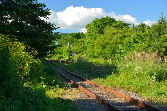 悔やまずに正々堂々と秘境駅に行ってきたから写真うｐする_1.5309010345804E+200