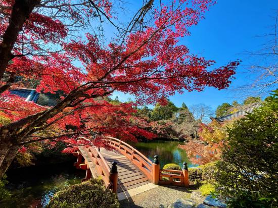 京都旅行して来たんだけど写真貼っても良いですか？_15