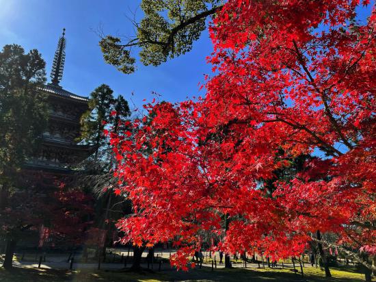 京都旅行して来たんだけど写真貼っても良いですか？_31