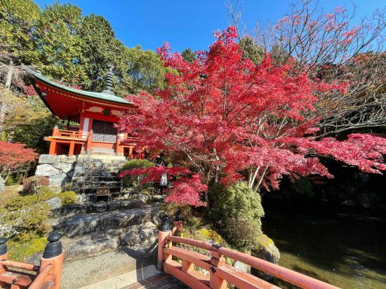 京都旅行して来たんだけど写真貼っても良いですか？_63