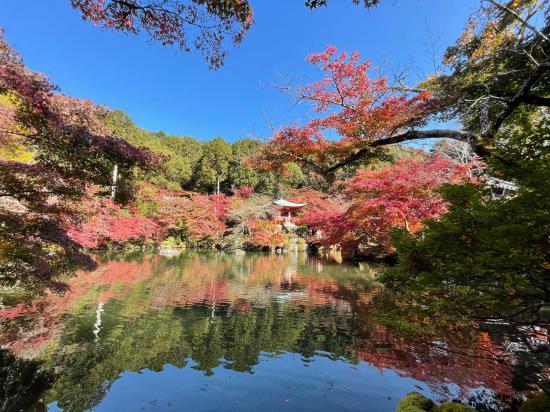 京都旅行して来たんだけど写真貼っても良いですか？_127