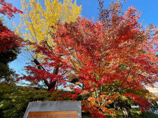 京都旅行して来たんだけど写真貼っても良いですか？_262143